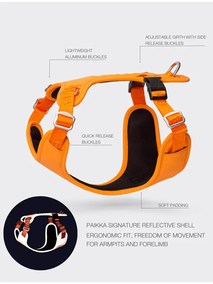 Hundegeschirr in Orange