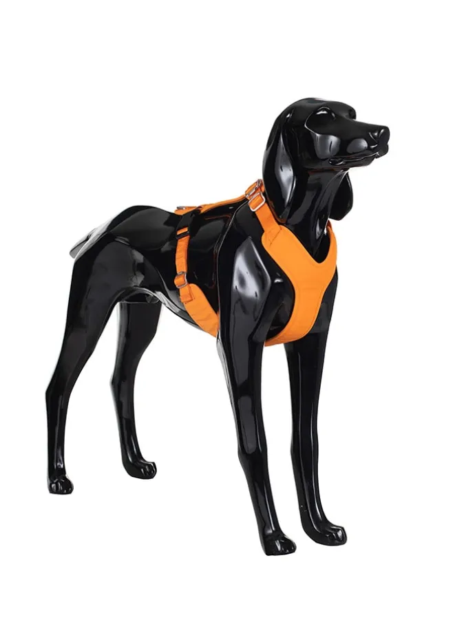 Hundegeschirr in Orange