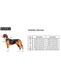 Hundegeschirr in Orange