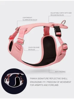 Hundegeschirr in Rosa