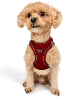 Hundegeschirr in Rot