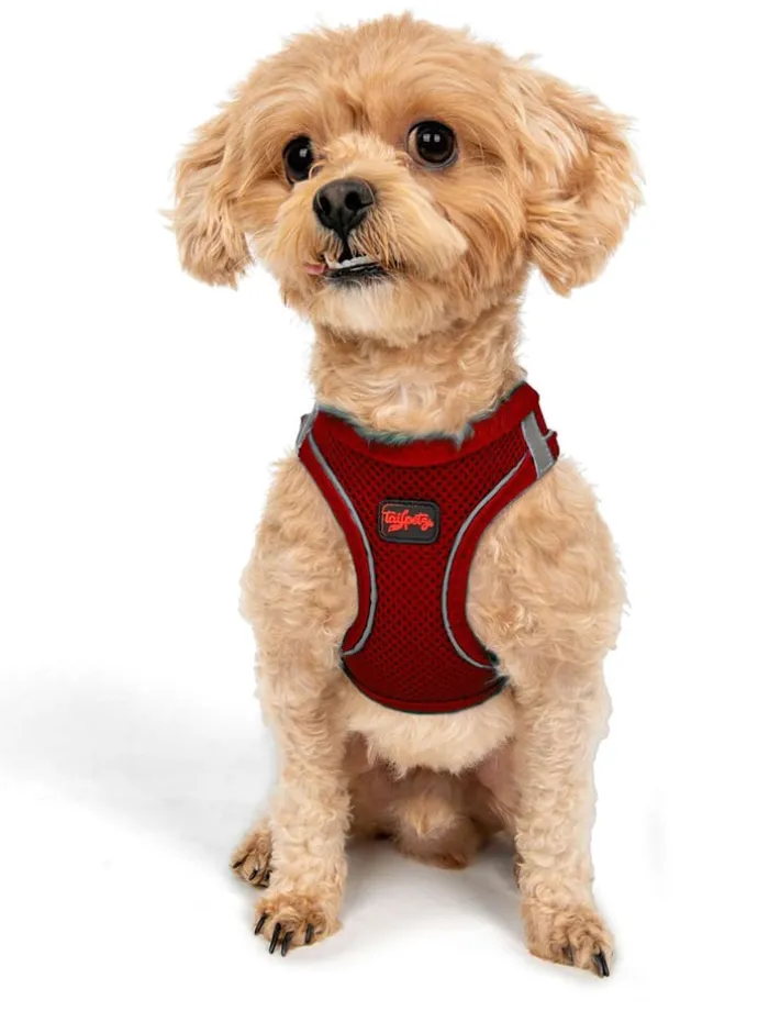 Hundegeschirr in Rot