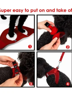 Hundegeschirr in Rot