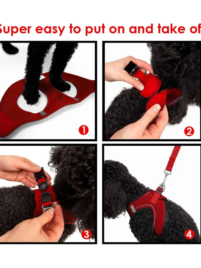 Hundegeschirr in Rot