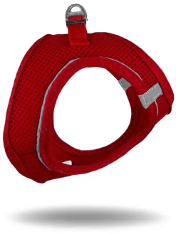 Hundegeschirr in Rot