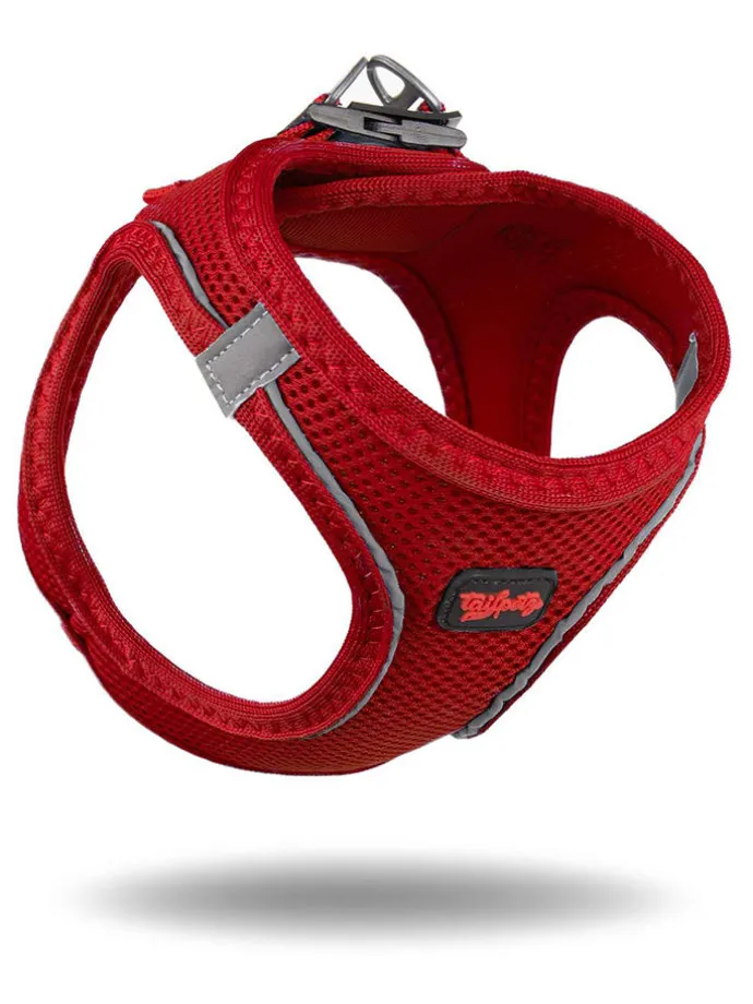Hundegeschirr in Rot