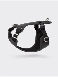 Hundegeschirr in Schwarz