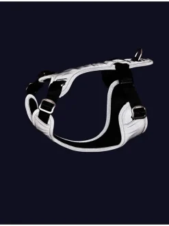 Hundegeschirr in Schwarz