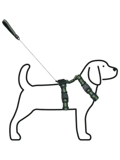 Hundegeschirr in Schwarz/ Grün