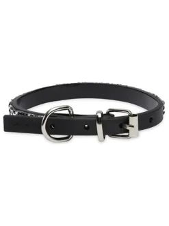 Hundehalsband in Schwarz