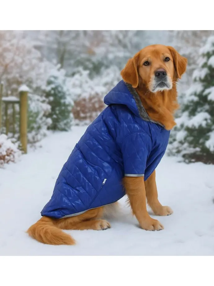 Hundehoodie in Blau