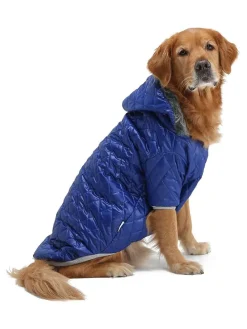 Hundehoodie in Blau