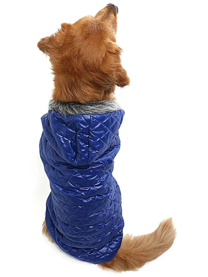 Hundehoodie in Blau
