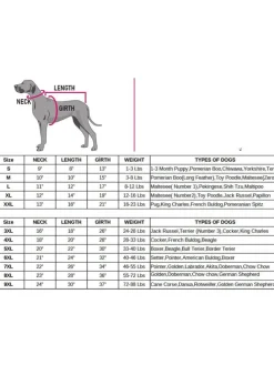 Hundehoodie in Grau/ Rosa