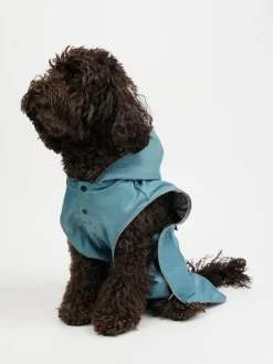 Hundehoodie in Hellblau