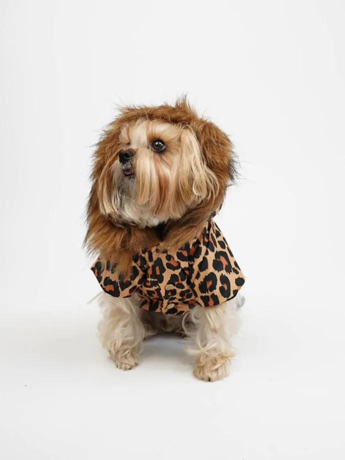 Hundehoodie in Hellbraun