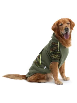 Hundehoodie in Khkai