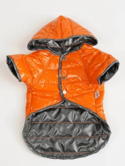 Hundehoodie in Orange