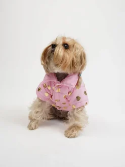 Hundehoodie in Rosa