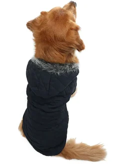 Hundehoodie in Schwarz