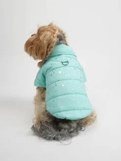 Hundehoodie in Türkis