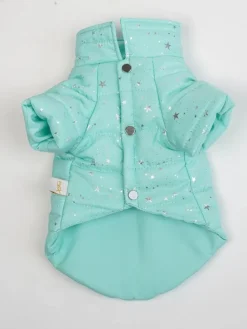 Hundehoodie in Türkis