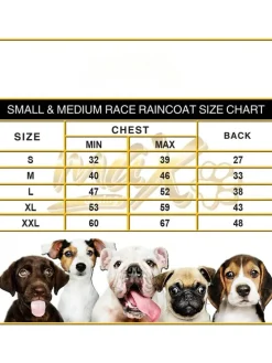 Hundehoodie in Türkis