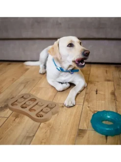 Hunde-Intelligenzspielzeug in Natur