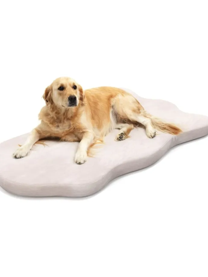 Hundekissen waschbar in Beige