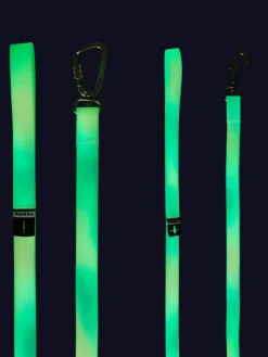 Hundeleine "Glow" in Rosa/ Mint