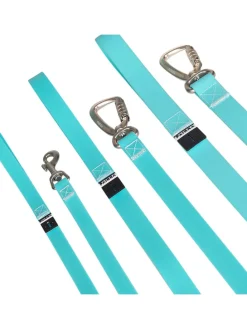 Hundeleine "Glow" in Türkis