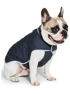 Hundemantel in Dunkelblau