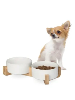 Hundenapfbar in Weiß - 850 ml