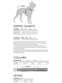 Hundepullover in Bordeaux/ Beige