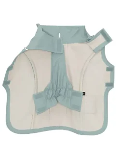 Hunderegenmantel in Mint