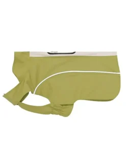 Hunderegenmantel in Oliv