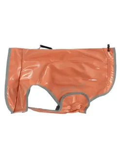 Hunderegenmantel in Orange