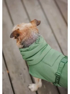 Hunde-Trockenmantel "2Go" in Grün