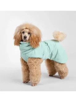 Hunde-Trockenmantel in Hellgrün