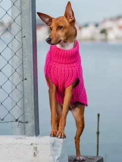 Hunde-Wollpullover in Pink