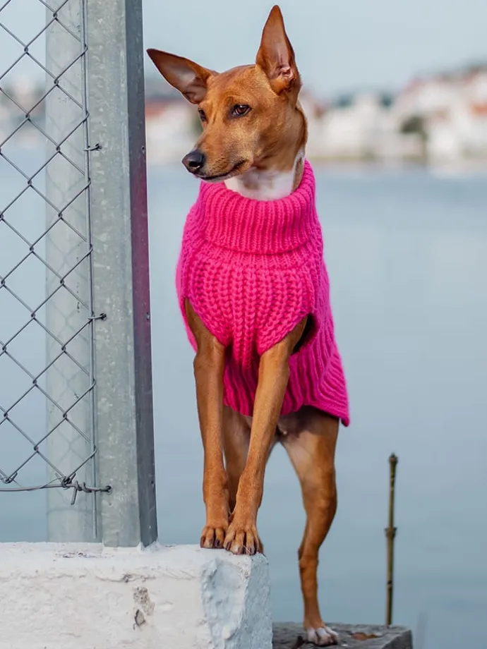 Hunde-Wollpullover in Pink