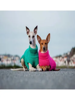 Hunde-Wollpullover in Pink