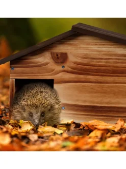 Igelhaus in Braun - (B)46 x (H)24 x (T)33,5 cm