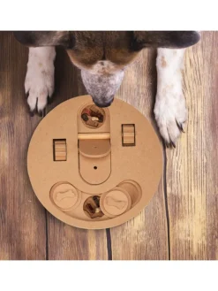 Intelligenzspielzeug in Natur