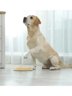 Intelligenzspielzeug in Natur