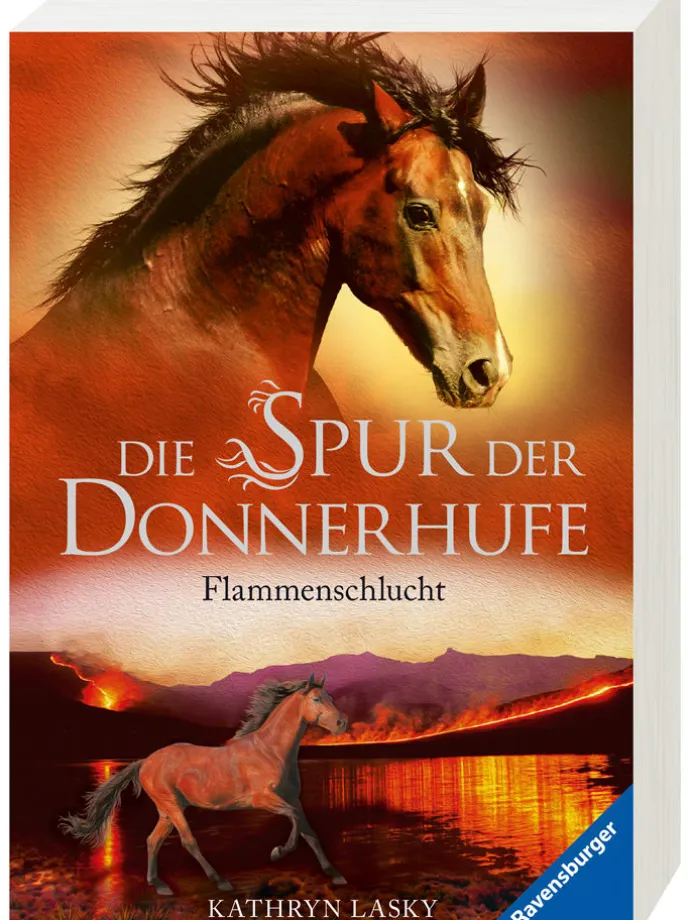 Jugendroman "Die Spur der Donnerhufe, Band 1: Flammenschlucht"