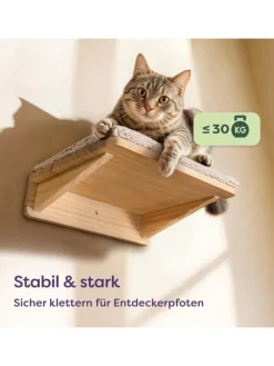 Katzen Kletterwand Set mit Katzenbett & 2X Katzentreppe - Kiefernholz