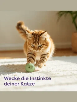 Katzenbälle mit Glöckchen – 4 Bälle Wolle