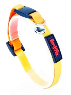 Katzenhalsband in Gelb