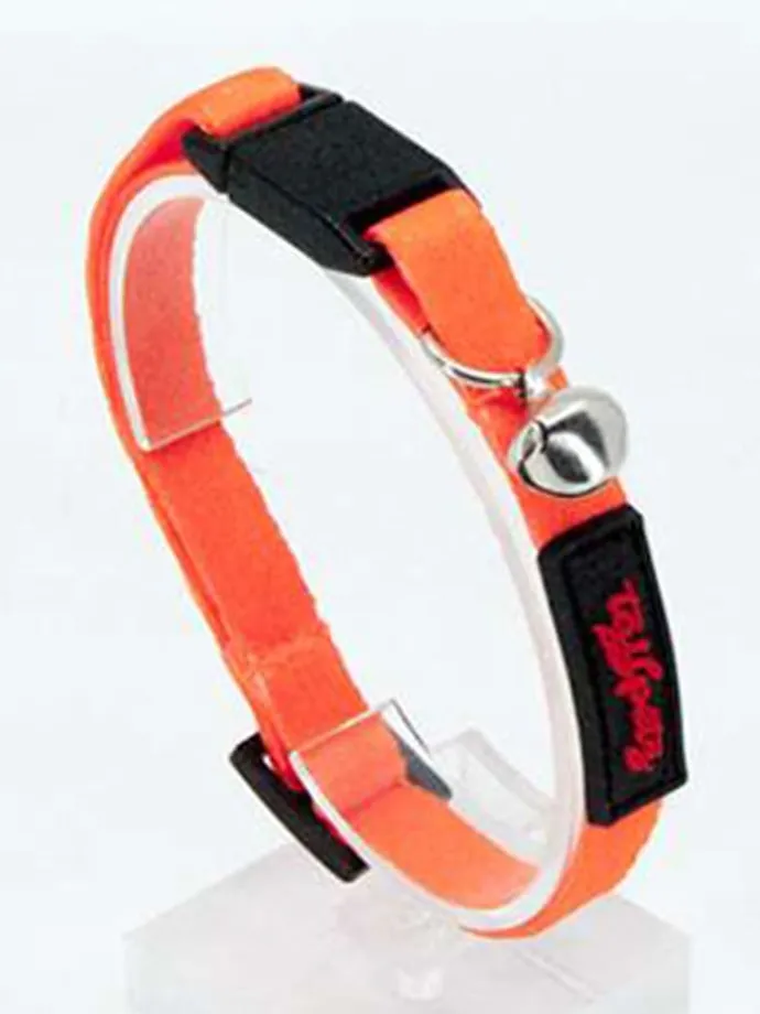 Katzenhalsband in Orange
